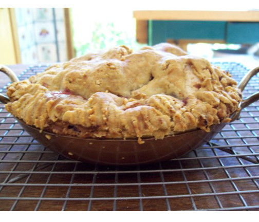 Low Carb Apple Pie
 Delicious Low Carb Apple Cranberry Pie Recipe