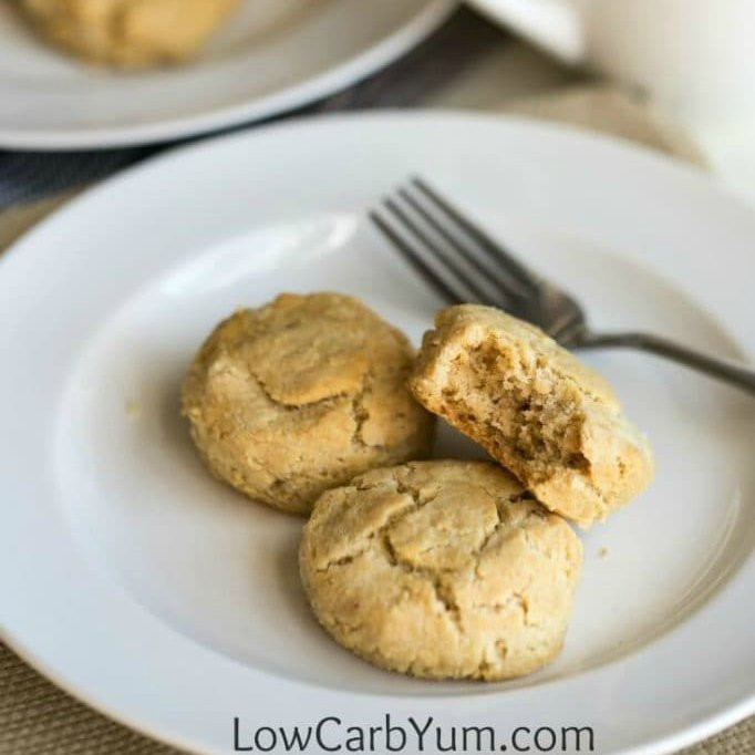 Low Carb Biscuit Recipe
 11 Easy and Delicious Low Carb Biscuits You Must Try