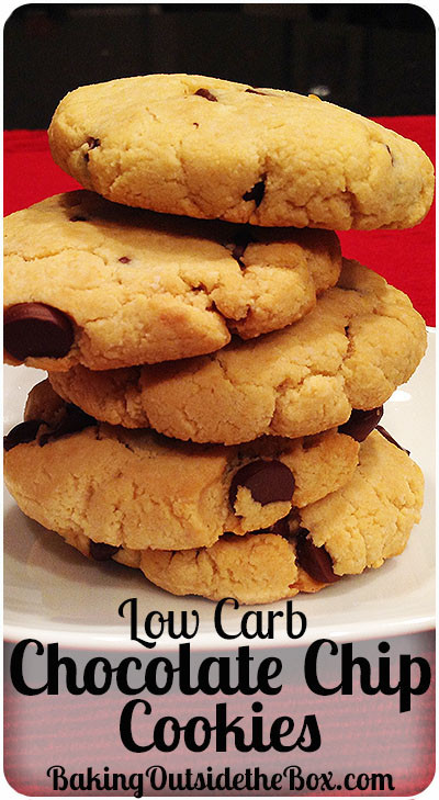 Low Carb Cookie Recipes
 Low Carb Chocolate Chip Cookies Recipe Baking Outside