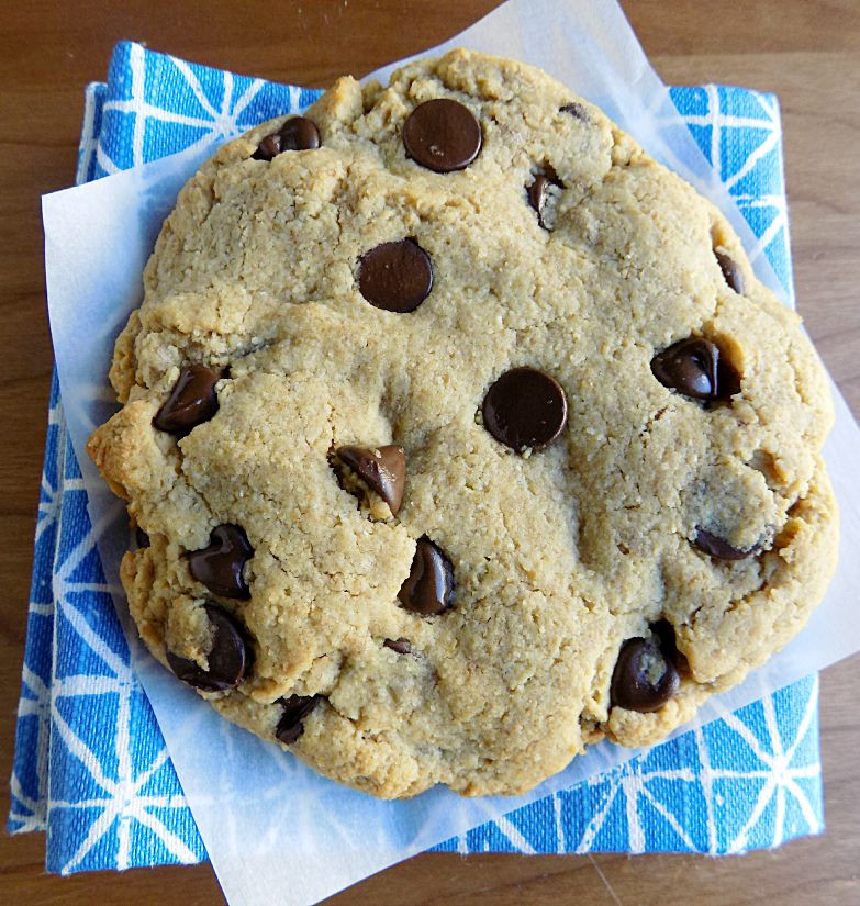 Low Carb Cookie Recipes
 Low Carb Chocolate Chip Cookie Recipe