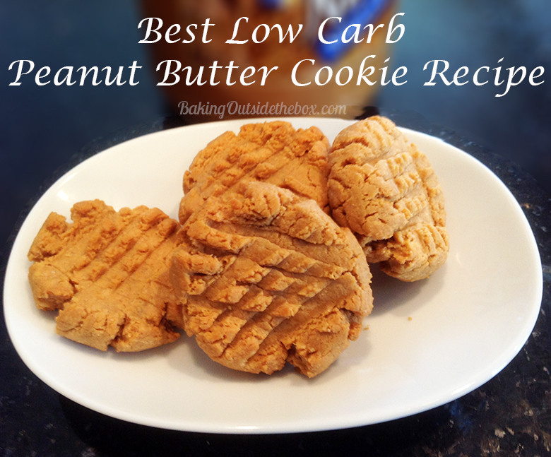 Low Carb Cookie Recipes
 no carb cookies