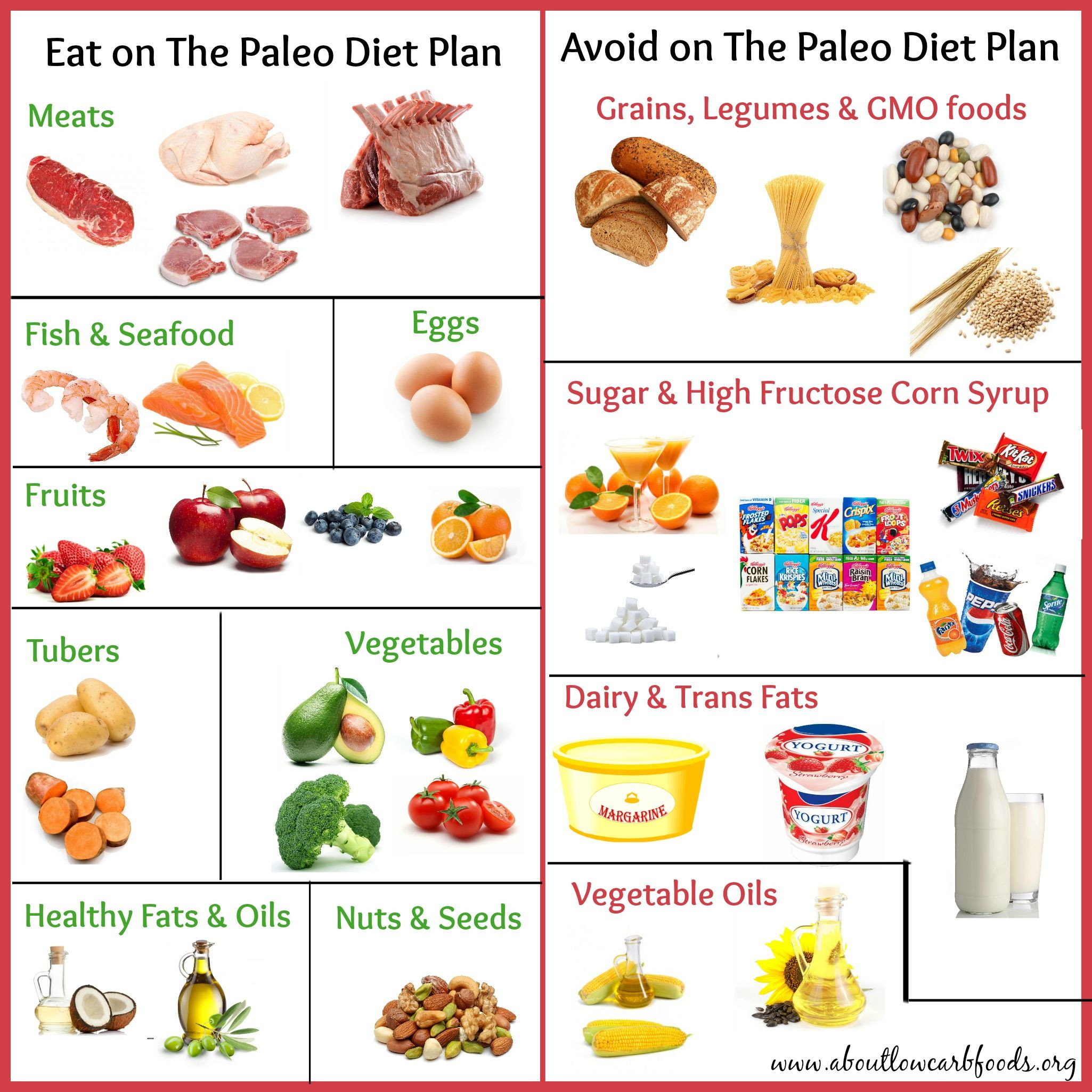 Low Carb Paleo Diet
 A Paleo Diet Plan That Can Save Your Life lowcarb