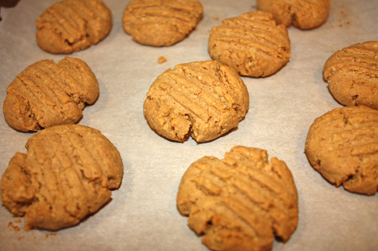 Low Carb Peanut Butter Cookies
 Low Carb Peanut Butter Cookies Busy But Healthy