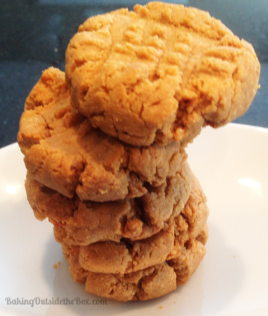 Low Carb Peanut Butter Cookies
 Best Low Carb Peanut Butter Cookie Recipe Baking Outside