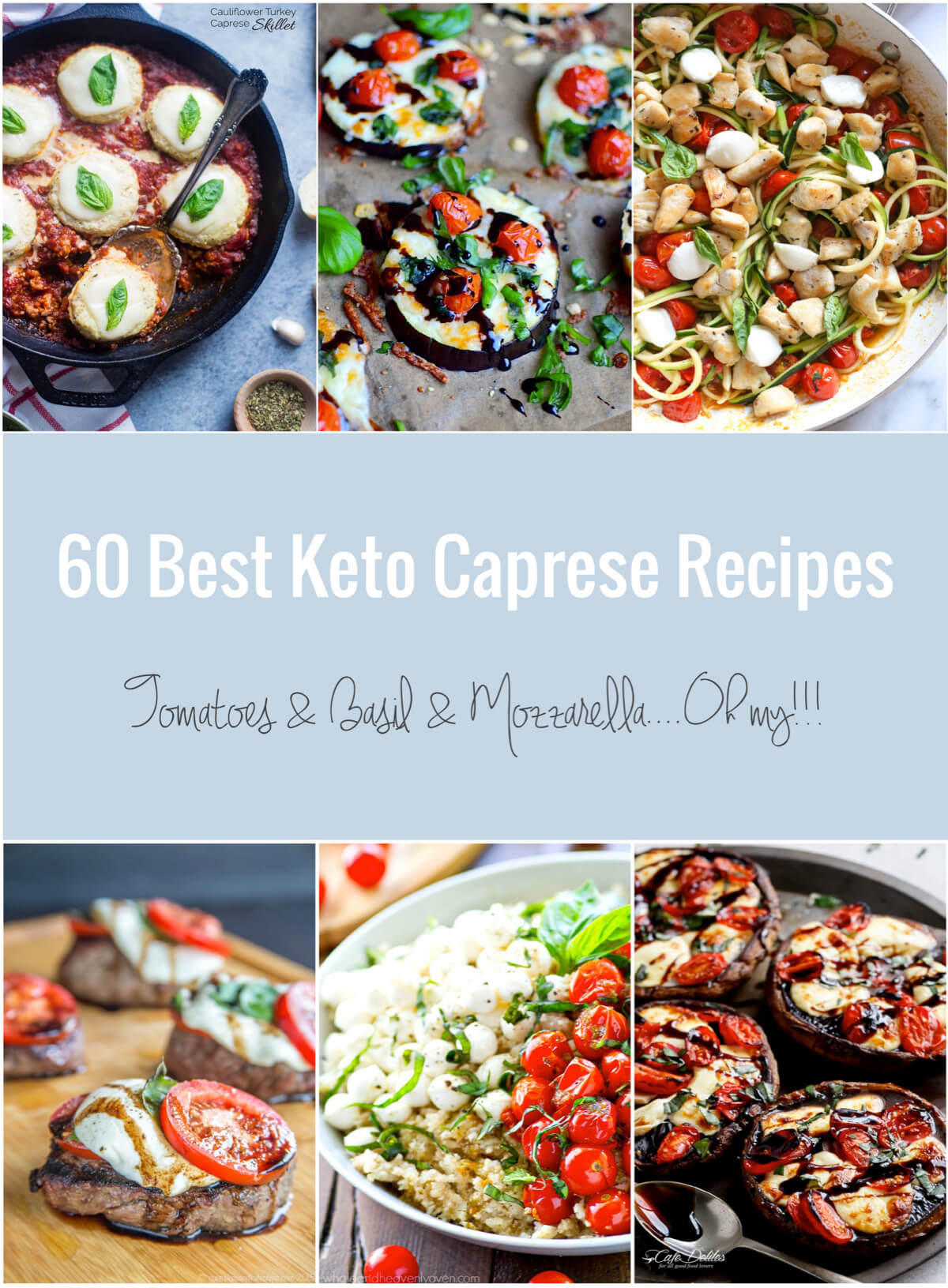 Low Carb Recipes Pinterest
 60 Best Keto Caprese Recipes Low Carb