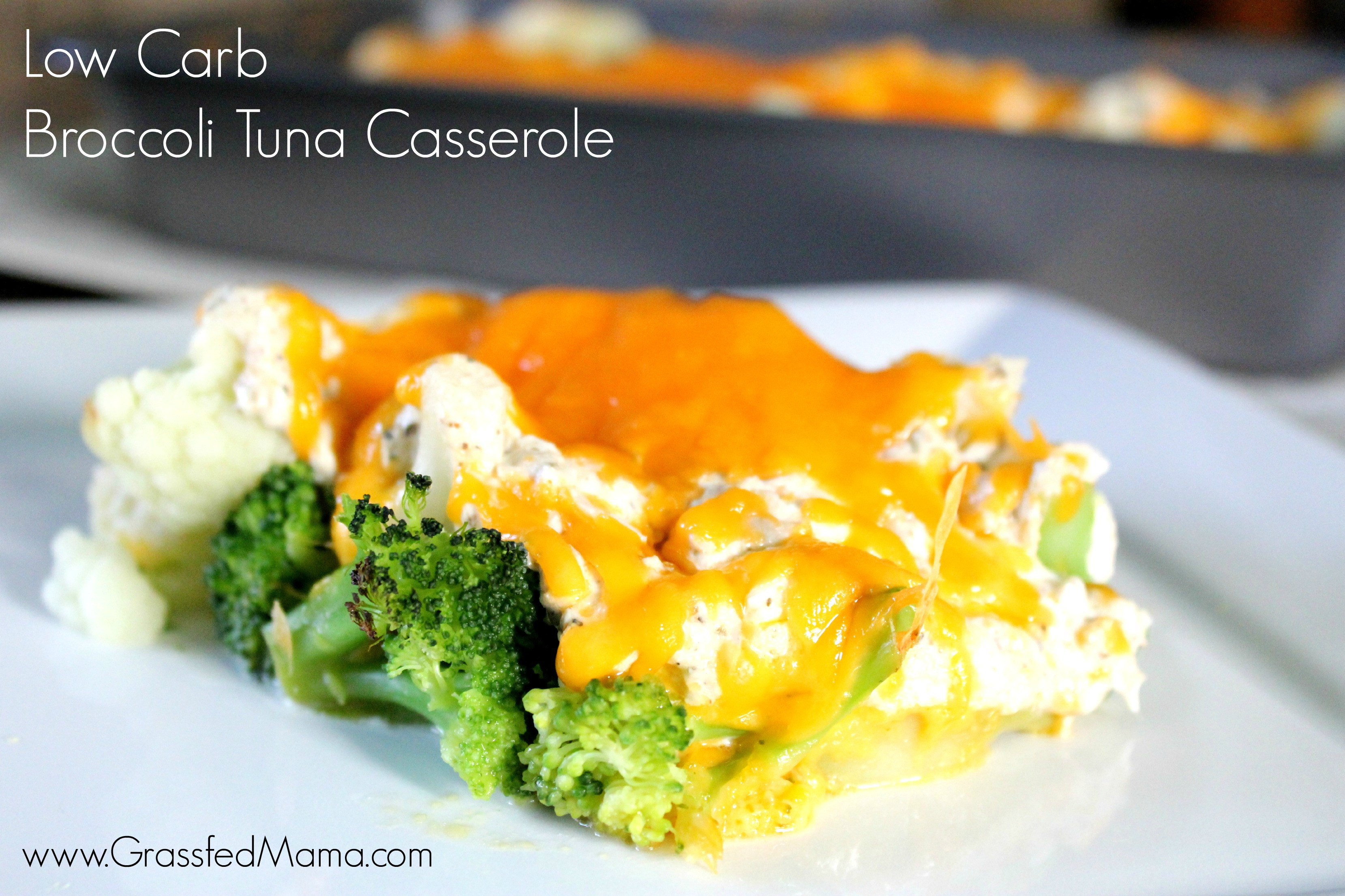 Low Carb Tuna Casserole
 Low Carb Broccoli Tuna Casserole Bake Grassfed Mama