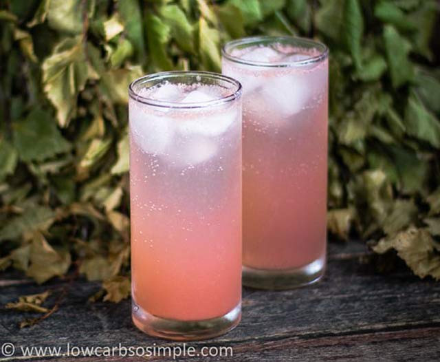 Low Carb Vodka Drinks
 50 Best Low Carb Summer Drinks