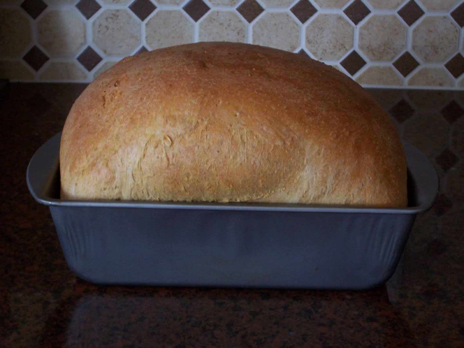 Low Carb Yeast Bread Recipe
 Delicious Low Carb Recipes Low Carb Bread