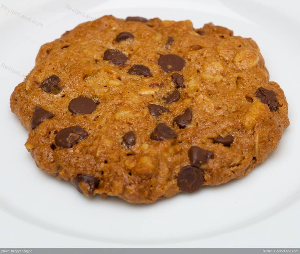 Low Fat Cookie Recipes
 Low Fat and Low Calorie Oatmeal Chocolate Chip Cookies Recipe