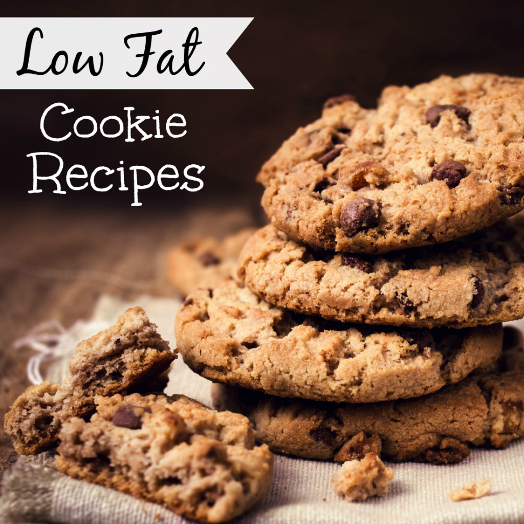 Low Fat Cookie Recipes
 Low Fat Cookie Recipes