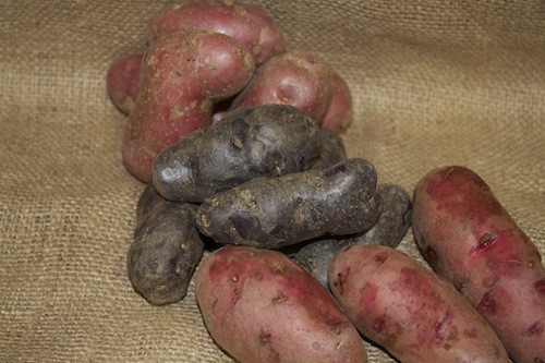 Maine Potato Lady
 Fingerling Potatoes