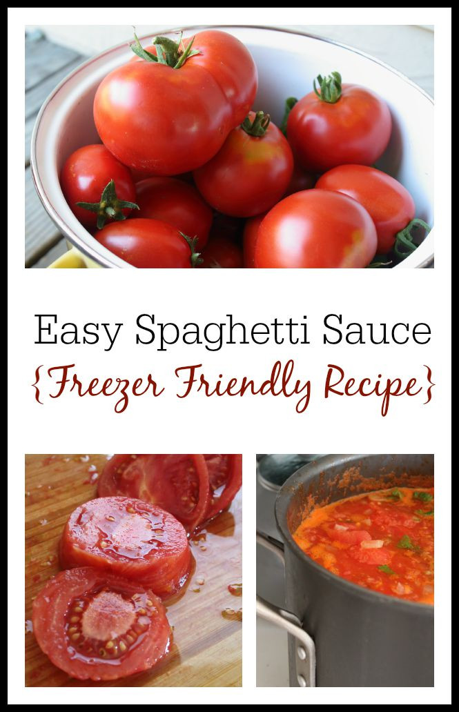 Make Spaghetti Sauce
 How to Make Spaghetti Sauce from Fresh Tomatoes Freezer