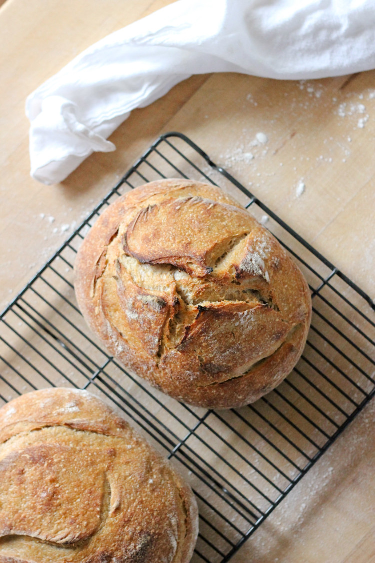 Making Sourdough Bread
 Making Sourdough Bread from Scratch with Craftsy