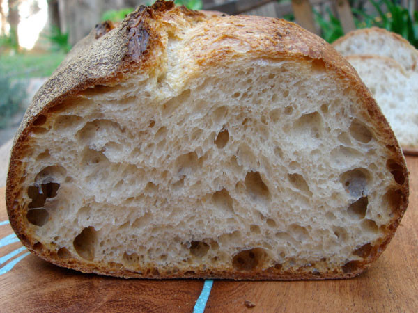 Making Sourdough Bread
 Norwich Sourdough Bread Recipe