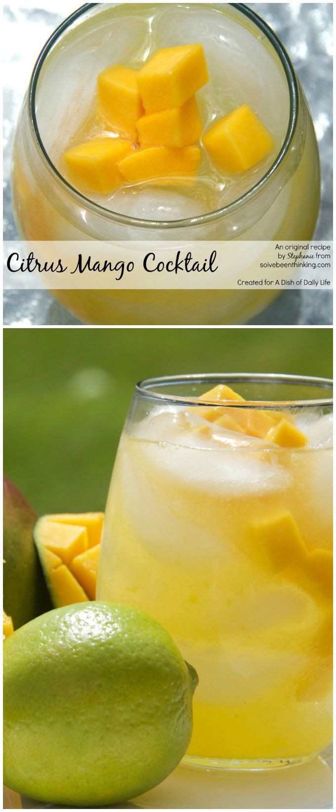 Mango Drink Recipes
 Best 25 Mango cocktail ideas on Pinterest