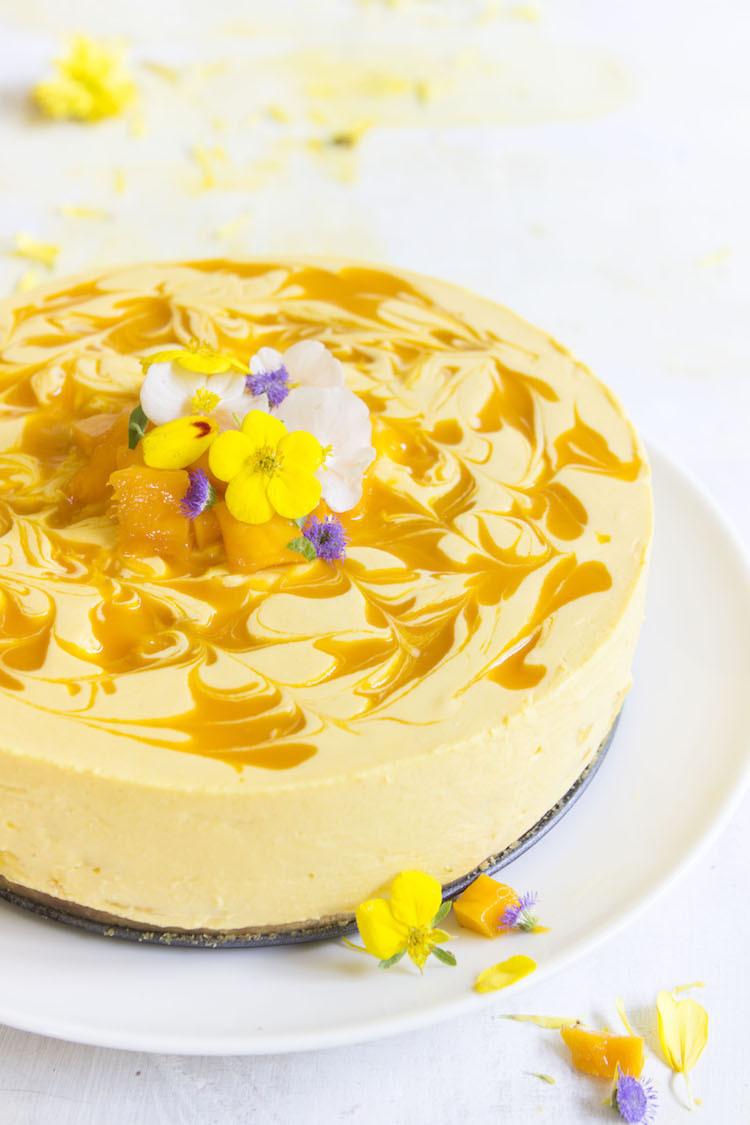 Mango Mango Dessert
 No Bake Mango Cheesecake Hot Chocolate Hits