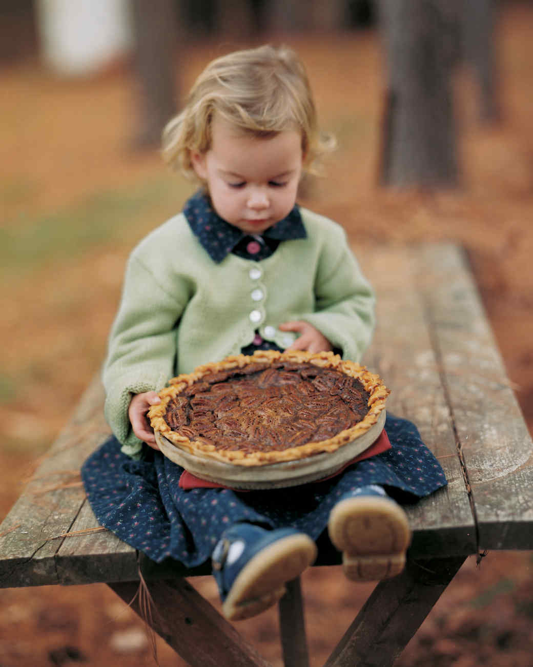 Martha Stewart Pecan Pie
 Maple Bourbon Pecan Pie