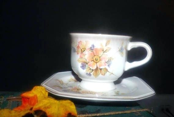 Mcdonald'S Dinner Box Discontinued
 Mikasa China Patterns Discontinued Silver Moon Dinner