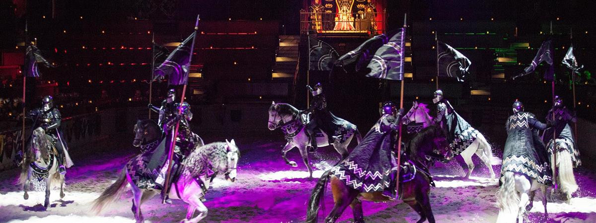 Medieval Times And Dinner
 Me val Times Dinner & Tournament Lyndhurst NJ