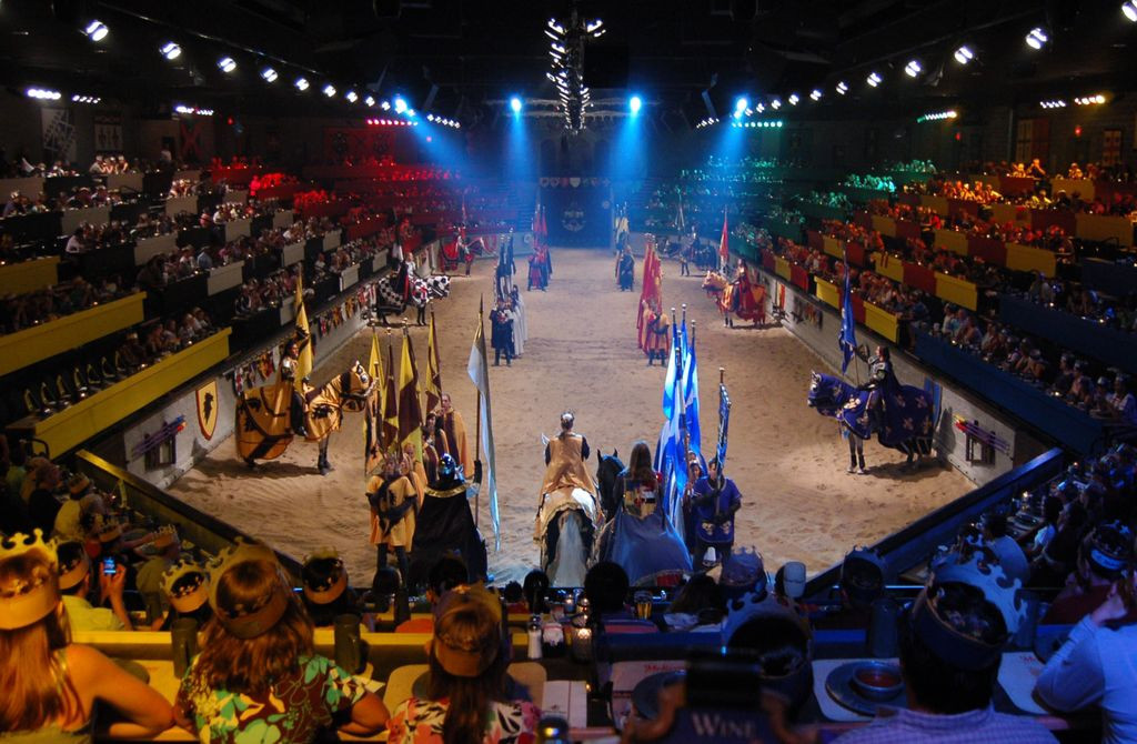 Medieval Times And Dinner
 Me val Times to put on educational field trips