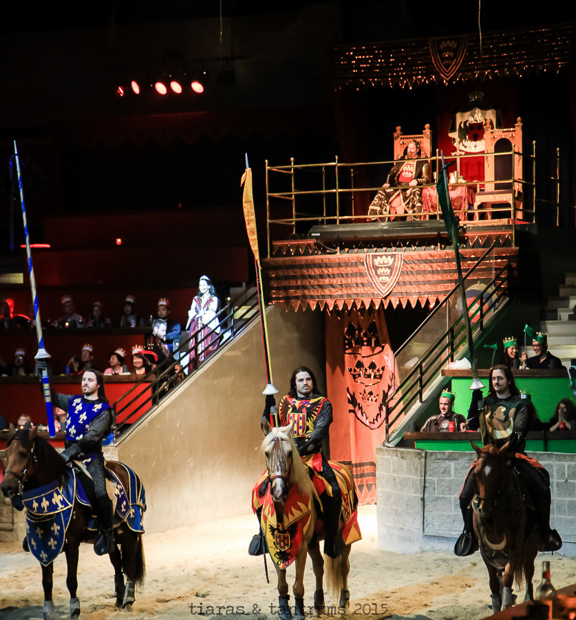 Medieval Times Dinner And Tournament
 Me val Times Dinner and Tournament Summer Time Field