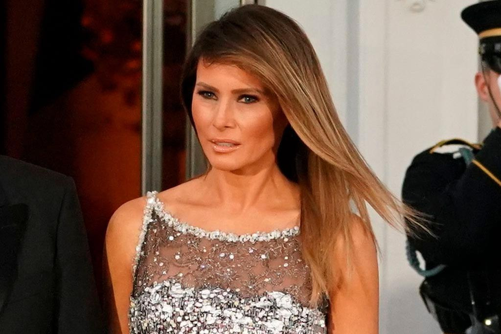 Melania Trump State Dinner
 Melania Trump’s Birthday Present Should’ve Been More Party