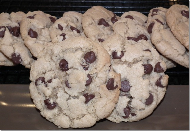 Melted Butter Chocolate Chip Cookies
 Baking And Boys Raspberry Cream and Chocolate Tart and