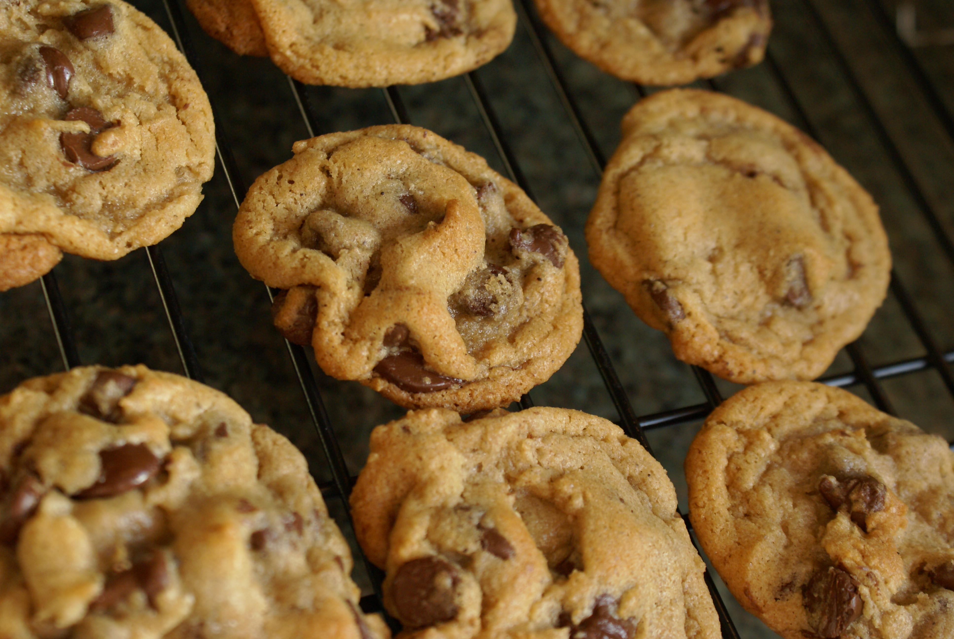Melted Butter Chocolate Chip Cookies
 Tasty Tuesday – Browned Butter Chocolate Chip Cookies