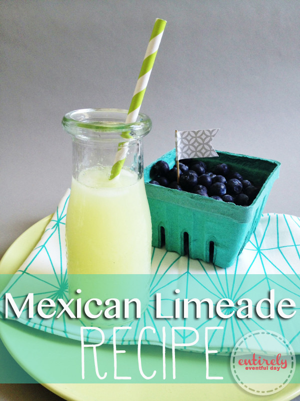 Mexican Drinks Non Alcoholic
 75 Refreshing Non Alcoholic Drink Recipes