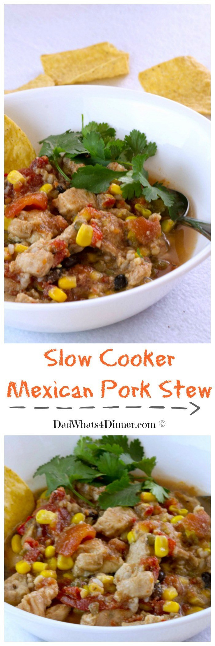 Mexican Pork Stew
 Slow Cooker Mexican Pork Stew