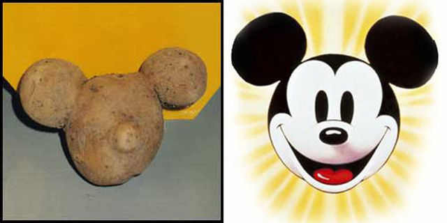 Mickey Rooney'S Potato Fantasy
 These Foods Totally Forgot What They Are LOL They