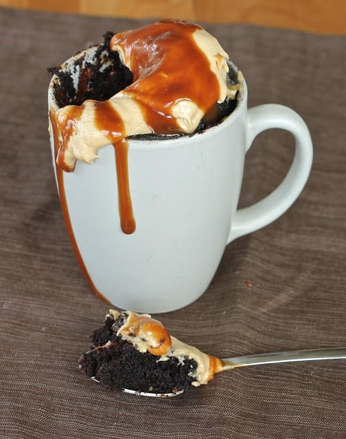 Microwave Dessert In A Mug
 30 Mug Recipes Amazing Desserts in the Microwave No 2