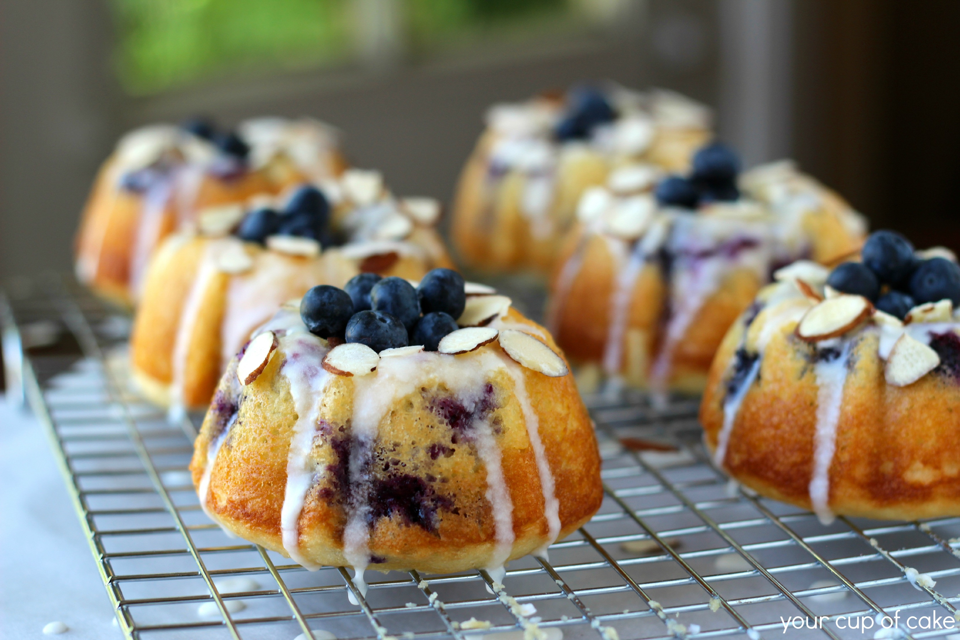 Mini Cake Recipe
 Blueberry Almond Mini Bundt Cakes Your Cup of Cake