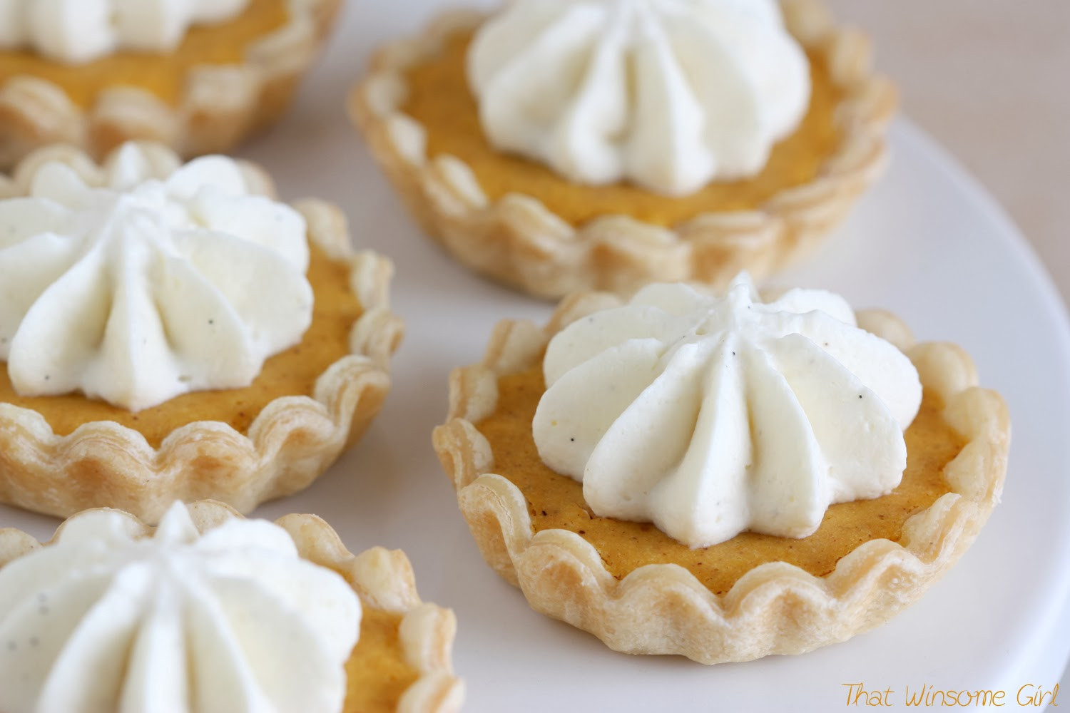 Mini Pumpkin Pie
 That Winsome Girl Mini Pumpkin Pies