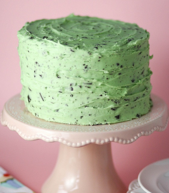 Mint Chocolate Chip Cake
 Party Rock 10 Amazing Birthday Cake Ideas For Grown ups