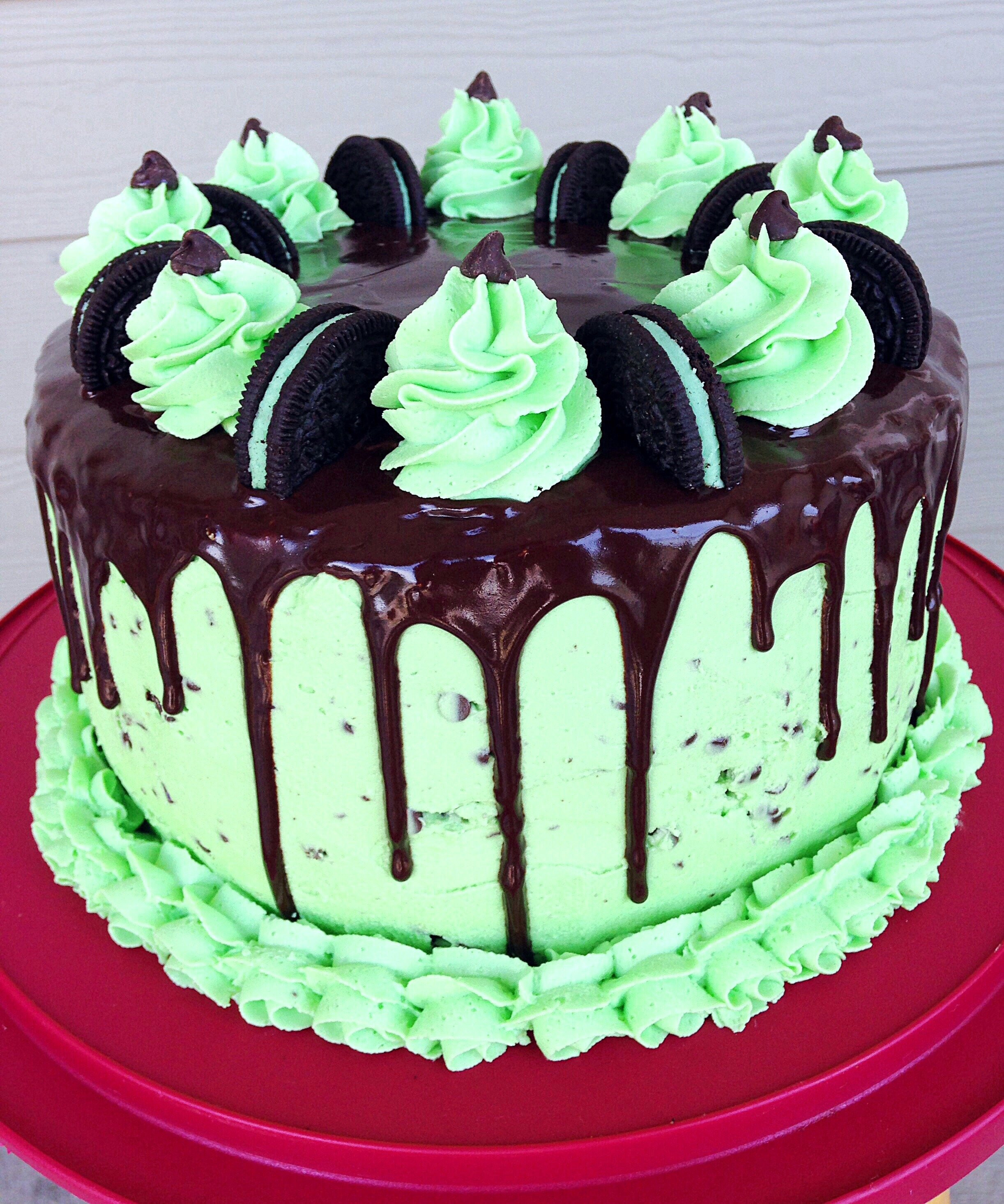 Mint Chocolate Chip Cake
 Today I made my cousin a mint chocolate chip birthday cake