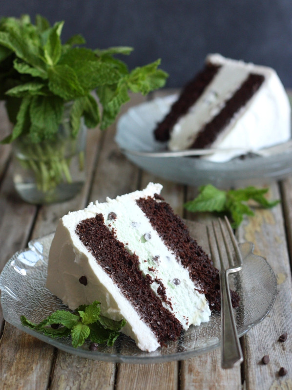 Mint Chocolate Chip Ice Cream Cake
 Easy Ice Cream Cake Recipes • CakeJournal