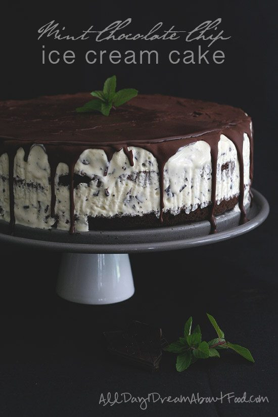 Mint Chocolate Chip Ice Cream Cake
 Low Carb Mint Chocolate Chip Ice Cream Cake Recipe