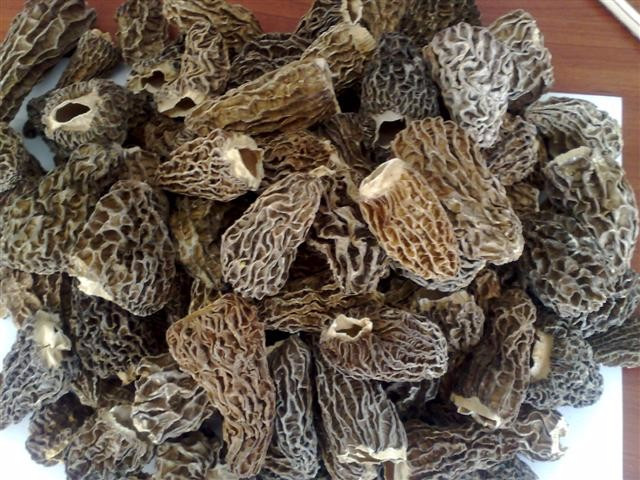 Morel Mushrooms For Sale
 High Quality Cultivated Dried Sichuan Hd015 Morel
