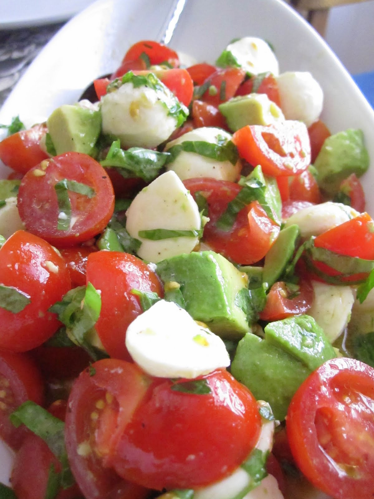 Mozzarella Tomato Salad
 Elizabeth s Dutch Oven Mozzarella Tomato and Avocado Salad