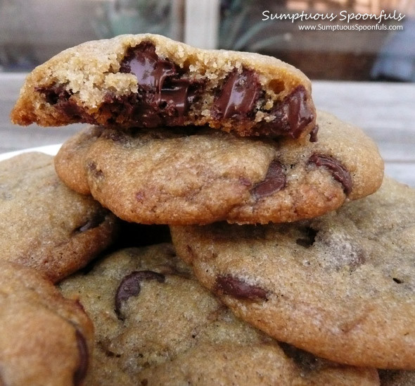 Mrs Fields Chocolate Chip Cookies
 Mrs Fields Blue Ribbon Chocolate Chip Cookies