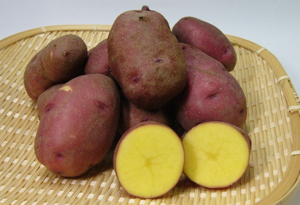 Murasaki Sweet Potato
 murasaki sweet potatoes