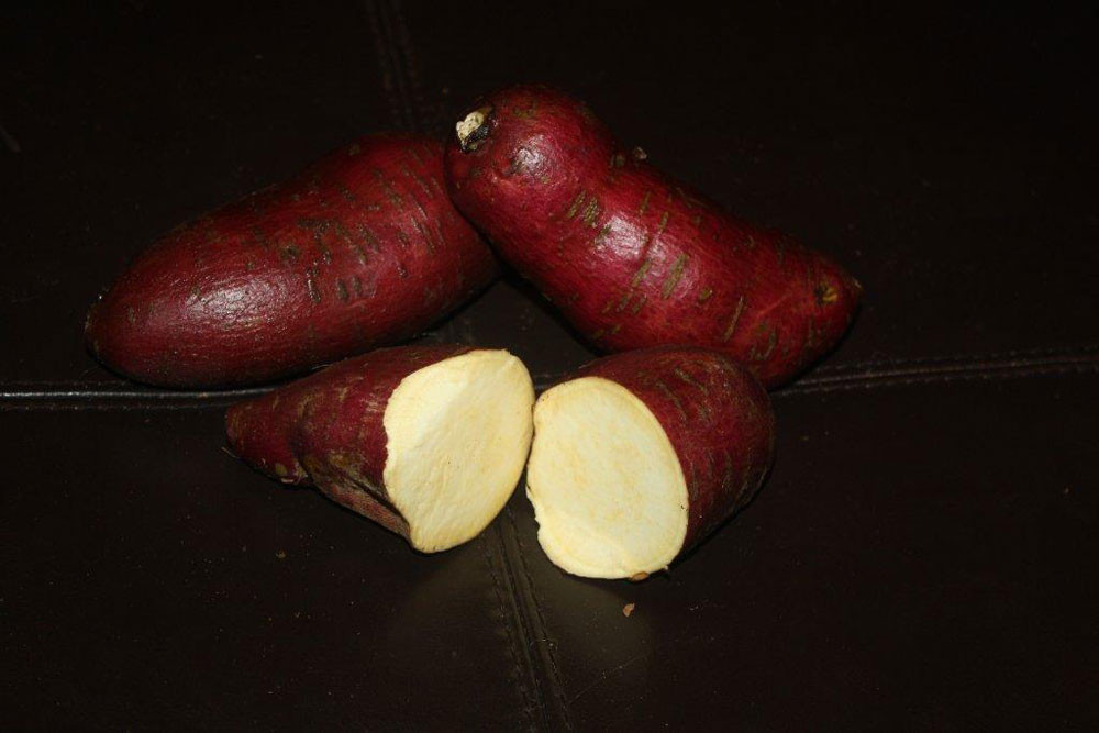 Murasaki Sweet Potato
 Organic