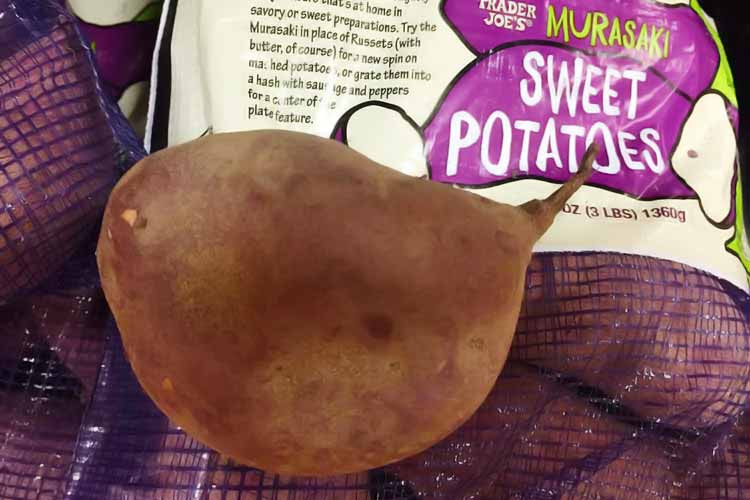Murasaki Sweet Potato
 Murasaki Japanese Sweet Potato a Recipe For Disaster