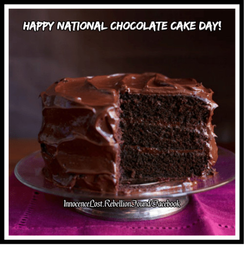 National Chocolate Cake Day
 Search Cake Day Memes on me