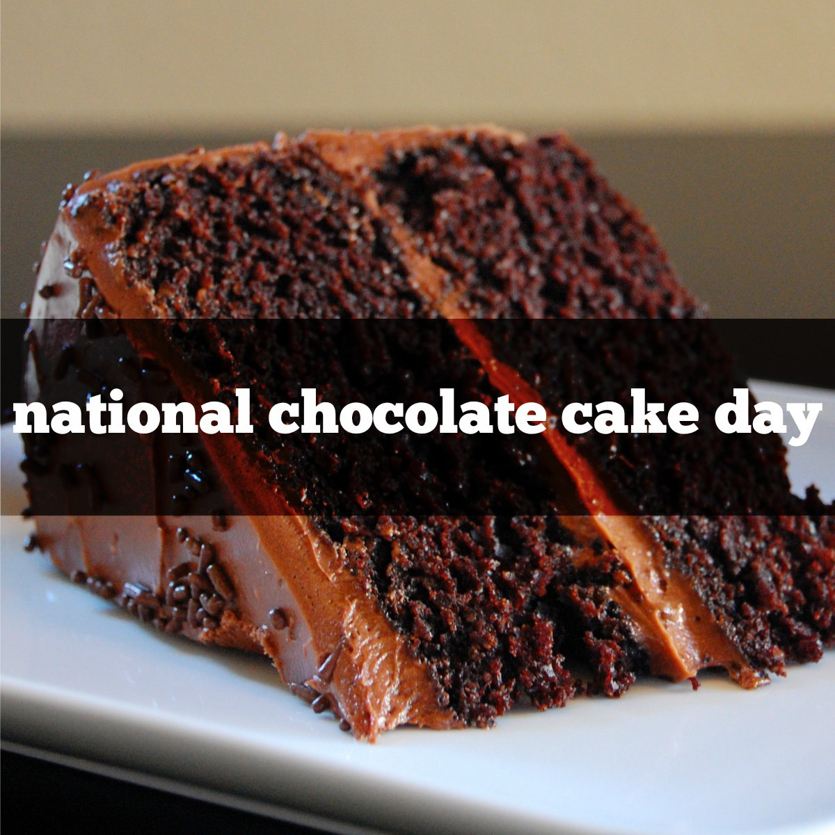 National Chocolate Cake Day
 NATIONAL CHOCOLATE CAKE DAY – redlegagenda