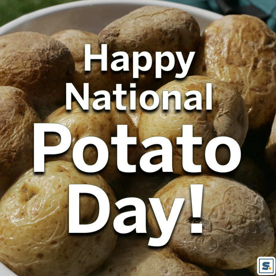 National Potato Day
 National Potato Day Latest news Breaking headlines and