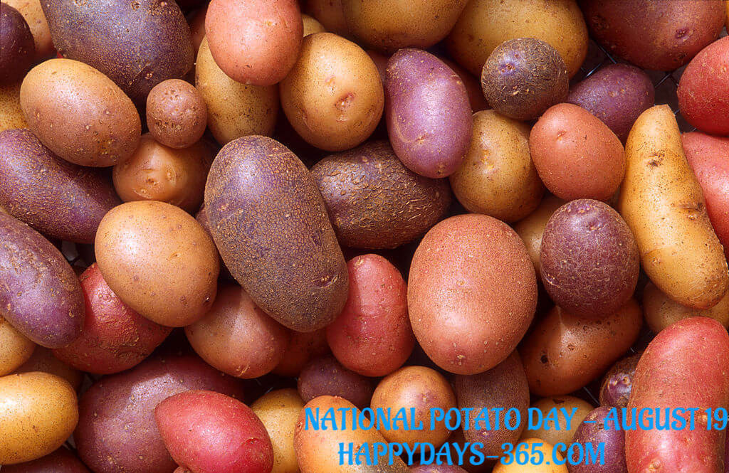 National Potato Day
 National Potato Day August 19 2018