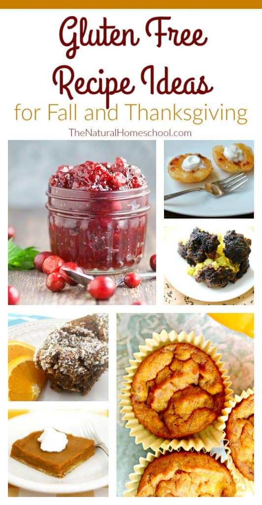 Naturally Gluten Free Desserts
 Gluten Free Recipes Desserts The Natural Homeschool