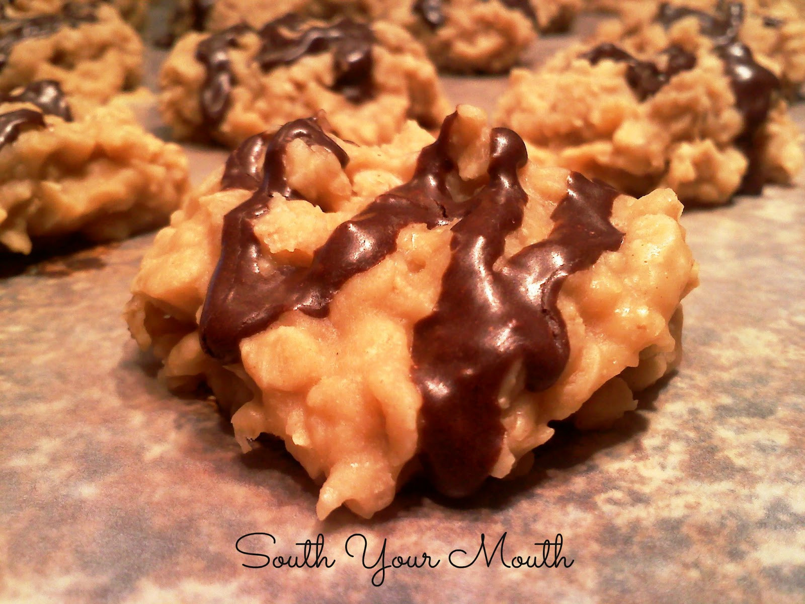 No Bake Peanut Butter Oatmeal Cookies
 South Your Mouth No Bake Peanut Butter Oatmeal Cookies